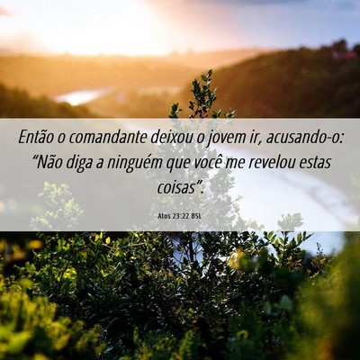 Picture 06 - Atos 23:22 BSL - Então o comandante deixou o jovem ir, - Bible Verse Picture
