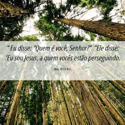 Picture 06 - Atos 26:15 BSL - “ Eu disse: “Quem é você, Senhor?”. - Bible Verse Picture