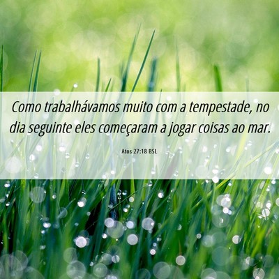 Picture 06 - Atos 27:18 BSL - Como trabalhávamos muito com a tempestade, no - Bible Verse Picture
