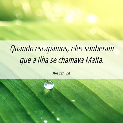 Picture 06 - Atos 28:1 BSL - Quando escapamos, eles souberam que a ilha se - Bible Verse Picture
