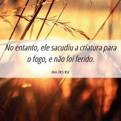 Picture 06 - Atos 28:5 BSL - No entanto, ele sacudiu a criatura para o fogo, e - Bible Verse Picture