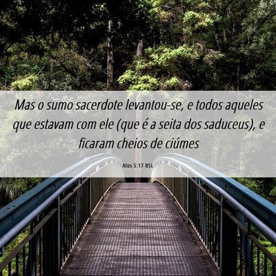 Picture 06 - Atos 5:17 BSL - Mas o sumo sacerdote levantou-se, e todos aqueles - Bible Verse Picture