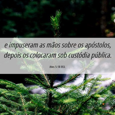 Picture 06 - Atos 5:18 BSL - e impuseram as mãos sobre os apóstolos, depois - Bible Verse Picture