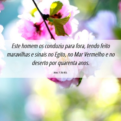 Picture 06 - Atos 7:36 BSL - Este homem os conduziu para fora, tendo feito - Bible Verse Picture