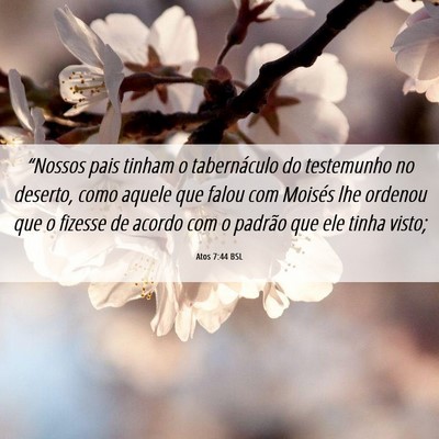 Picture 06 - Atos 7:44 BSL - “Nossos pais tinham o tabernáculo do - Bible Verse Picture