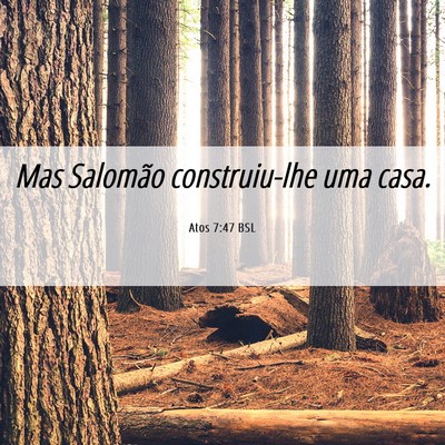 Picture 06 - Atos 7:47 BSL - Mas Salomão construiu-lhe uma - Bible Verse Picture