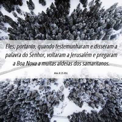 Picture 06 - Atos 8:25 BSL - Eles, portanto, quando testemunharam e disseram a - Bible Verse Picture