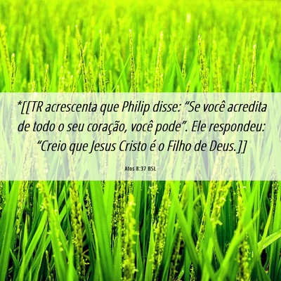 Picture 06 - Atos 8:37 BSL - *[[TR acrescenta que Philip disse: “Se você - Bible Verse Picture