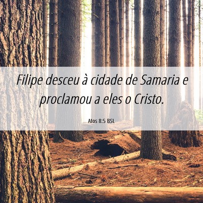 Picture 06 - Atos 8:5 BSL - Filipe desceu à cidade de Samaria e proclamou a - Bible Verse Picture
