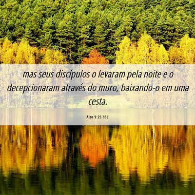Picture 06 - Atos 9:25 BSL - mas seus discípulos o levaram pela noite e o - Bible Verse Picture