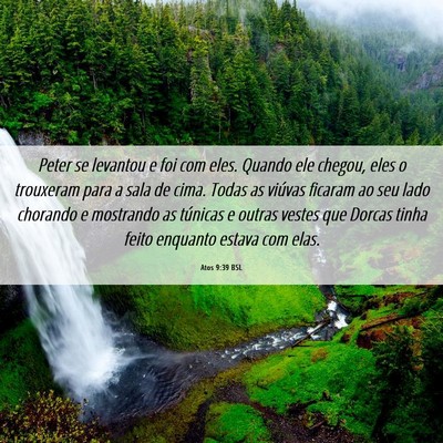 Picture 06 - Atos 9:39 BSL - Peter se levantou e foi com eles. Quando ele - Bible Verse Picture