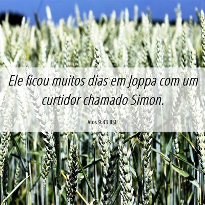 Picture 06 - Atos 9:43 BSL - Ele ficou muitos dias em Joppa com um curtidor - Bible Verse Picture