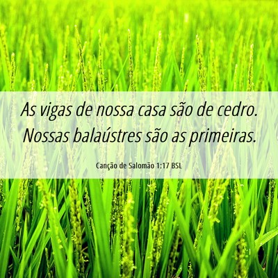 Picture 06 - Canção de Salomão 1:17 BSL - As vigas de nossa casa são de cedro. Nossas - Bible Verse Picture