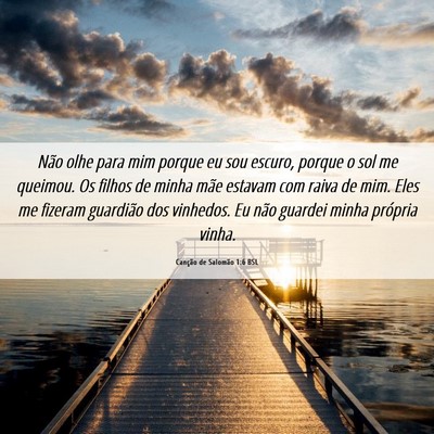 Picture 06 - Canção de Salomão 1:6 BSL - Não olhe para mim porque eu sou escuro, porque o - Bible Verse Picture
