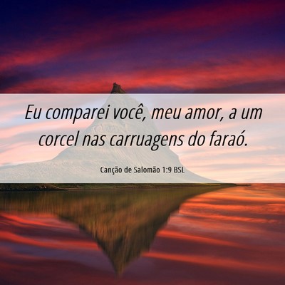 Picture 06 - Canção de Salomão 1:9 BSL - Eu comparei você, meu amor, a um corcel nas - Bible Verse Picture
