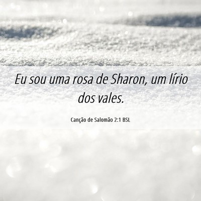 Picture 06 - Canção de Salomão 2:1 BSL - Eu sou uma rosa de Sharon, um lírio dos - Bible Verse Picture