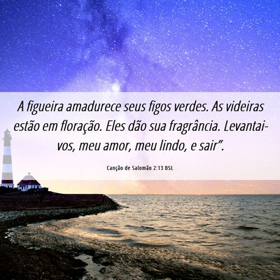 Picture 06 - Canção de Salomão 2:13 BSL - A figueira amadurece seus figos verdes. As - Bible Verse Picture