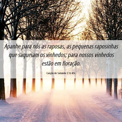 Picture 06 - Canção de Salomão 2:15 BSL - Apanhe para nós as raposas, as pequenas - Bible Verse Picture