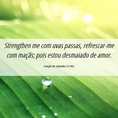 Picture 06 - Canção de Salomão 2:5 BSL - Strengthen me com uvas passas, refrescar-me com - Bible Verse Picture