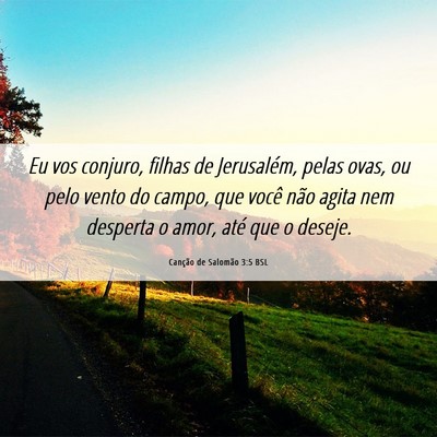 Picture 06 - Canção de Salomão 3:5 BSL - Eu vos conjuro, filhas de Jerusalém, pelas ovas, - Bible Verse Picture
