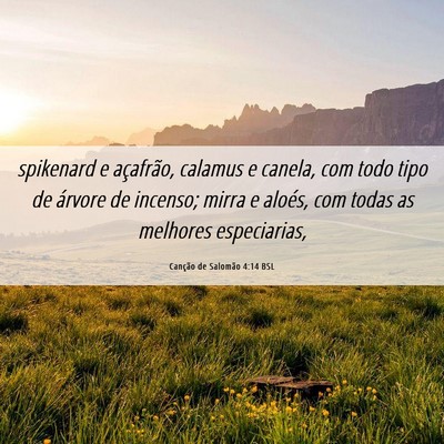 Picture 06 - Canção de Salomão 4:14 BSL - spikenard e açafrão, calamus e canela, com todo - Bible Verse Picture