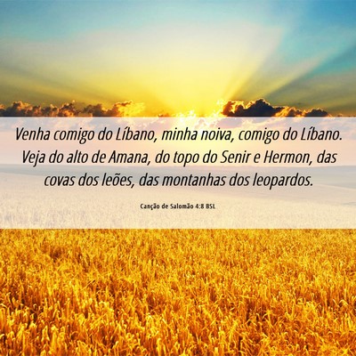 Picture 06 - Canção de Salomão 4:8 BSL - Venha comigo do Líbano, minha noiva, comigo do - Bible Verse Picture