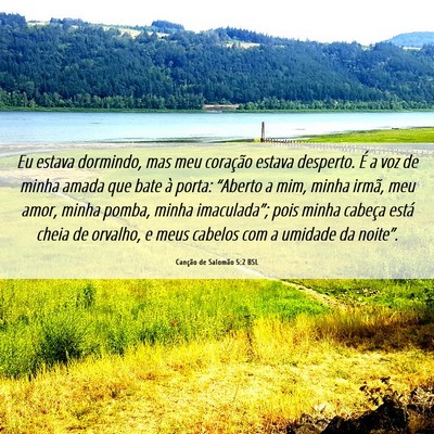 Picture 06 - Canção de Salomão 5:2 BSL - Eu estava dormindo, mas meu coração estava - Bible Verse Picture