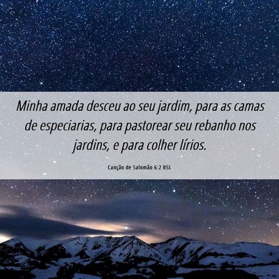Picture 06 - Canção de Salomão 6:2 BSL - Minha amada desceu ao seu jardim, para as camas - Bible Verse Picture