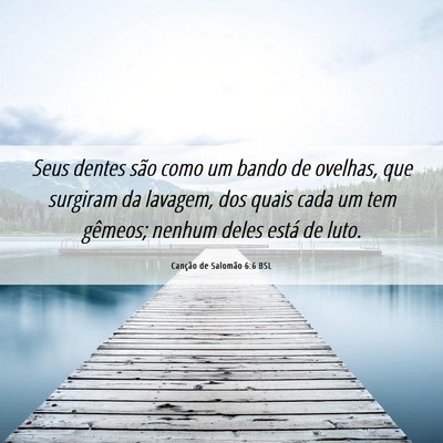 Picture 06 - Canção de Salomão 6:6 BSL - Seus dentes são como um bando de ovelhas, que - Bible Verse Picture