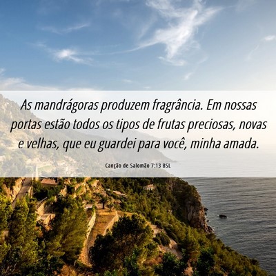 Picture 06 - Canção de Salomão 7:13 BSL - As mandrágoras produzem fragrância. Em nossas - Bible Verse Picture