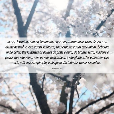 Picture 06 - Daniel 5:23 BSL - mas se levantou contra o Senhor do céu; e eles - Bible Verse Picture