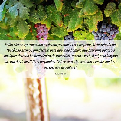 Picture 06 - Daniel 6:12 BSL - Então eles se aproximaram e falaram perante o - Bible Verse Picture