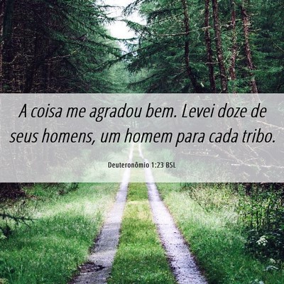Picture 06 - Deuteronômio 1:23 BSL - A coisa me agradou bem. Levei doze de seus - Bible Verse Picture