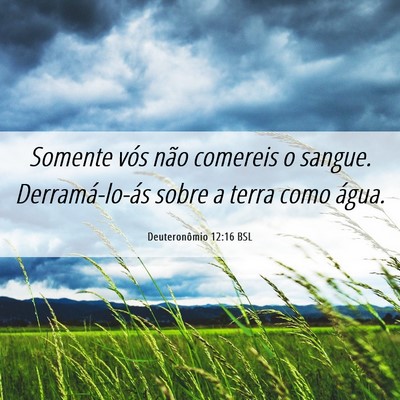 Picture 06 - Deuteronômio 12:16 BSL - Somente vós não comereis o sangue. - Bible Verse Picture