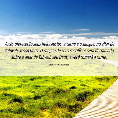 Picture 06 - Deuteronômio 12:27 BSL - Vocês oferecerão seus holocaustos, a carne e o - Bible Verse Picture