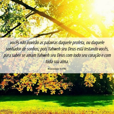 Picture 06 - Deuteronômio 13:3 BSL - vocês não ouvirão as palavras daquele profeta, - Bible Verse Picture