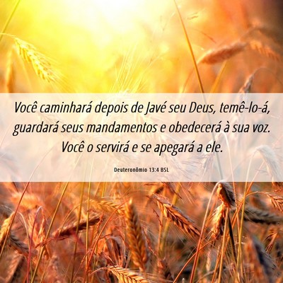 Picture 06 - Deuteronômio 13:4 BSL - Você caminhará depois de Javé seu Deus, - Bible Verse Picture