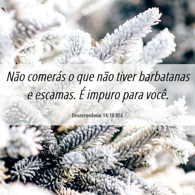 Picture 06 - Deuteronômio 14:10 BSL - Não comerás o que não tiver barbatanas e - Bible Verse Picture