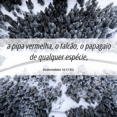 Picture 06 - Deuteronômio 14:13 BSL - a pipa vermelha, o falcão, o papagaio de - Bible Verse Picture