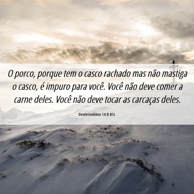Picture 06 - Deuteronômio 14:8 BSL - O porco, porque tem o casco rachado mas não - Bible Verse Picture