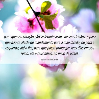 Picture 06 - Deuteronômio 17:20 BSL - para que seu coração não se levante acima de - Bible Verse Picture