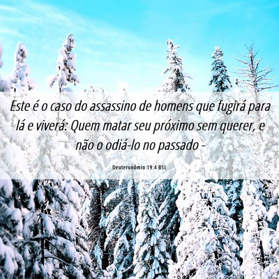 Picture 06 - Deuteronômio 19:4 BSL - Este é o caso do assassino de homens que fugirá - Bible Verse Picture