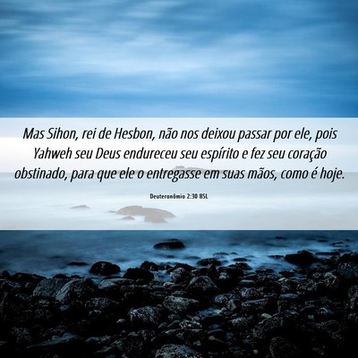 Picture 06 - Deuteronômio 2:30 BSL - Mas Sihon, rei de Hesbon, não nos deixou passar - Bible Verse Picture