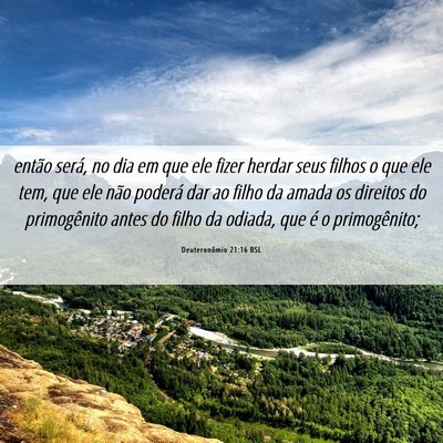Picture 06 - Deuteronômio 21:16 BSL - então será, no dia em que ele fizer herdar seus - Bible Verse Picture