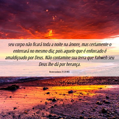 Picture 06 - Deuteronômio 21:23 BSL - seu corpo não ficará toda a noite na árvore, - Bible Verse Picture