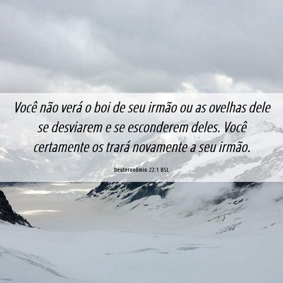 Picture 06 - Deuteronômio 22:1 BSL - Você não verá o boi de seu irmão ou as - Bible Verse Picture