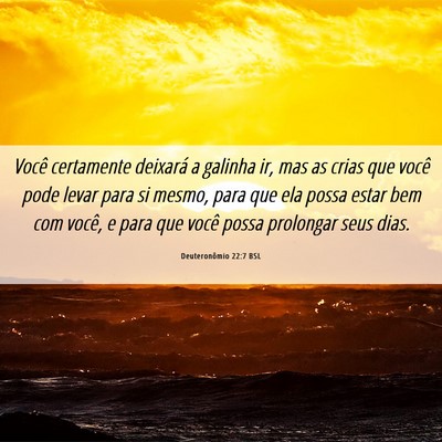 Picture 06 - Deuteronômio 22:7 BSL - Você certamente deixará a galinha ir, mas as - Bible Verse Picture