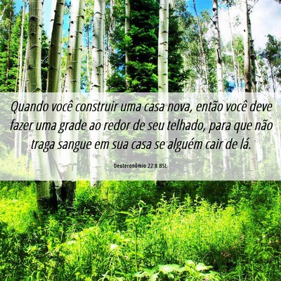 Picture 06 - Deuteronômio 22:8 BSL - Quando você construir uma casa nova, então - Bible Verse Picture