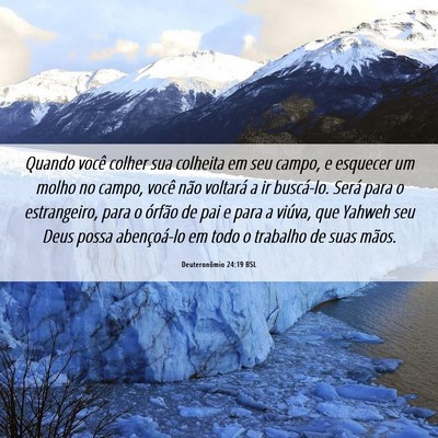 Picture 06 - Deuteronômio 24:19 BSL - Quando você colher sua colheita em seu campo, e - Bible Verse Picture