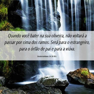 Picture 06 - Deuteronômio 24:20 BSL - Quando você bater na sua oliveira, não voltará - Bible Verse Picture